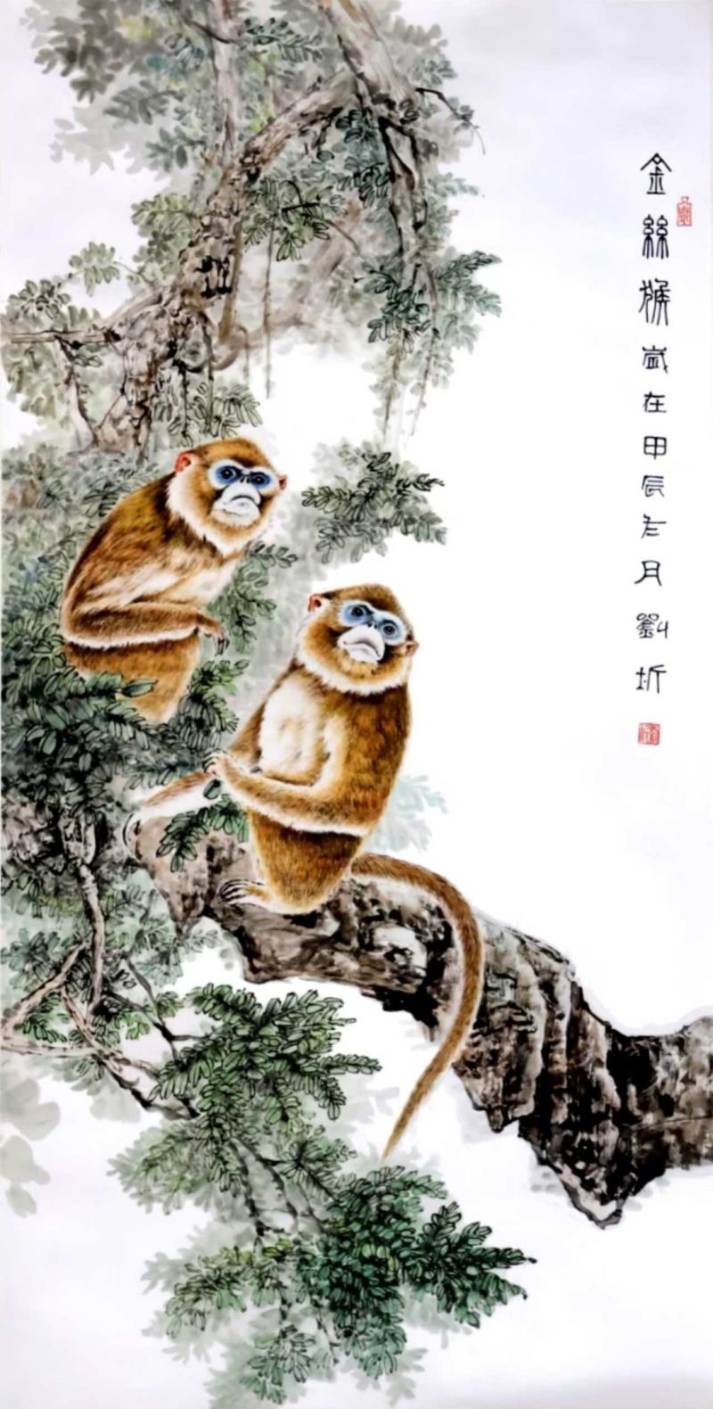 刘圻《金丝猴》